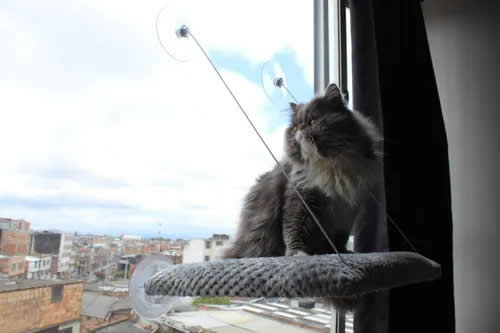 Hamacas De Ventana Para Gatos Tela De Peluche en varios Colores resistente 10 Kilos