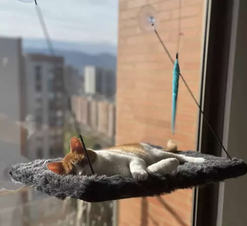 Hamacas De Ventana Para Gatos Tela De Peluche en varios Colores resistente 10 Kilos